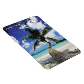 Magnet Flexible Palm sur l'île des Seychelles, Praslin (Côté Droit)