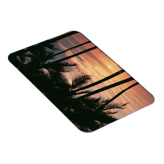 Magnet Flexible Palmier 3 (Côté Droit)