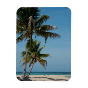 Magnet Flexible Palmier et plage de sable blanc