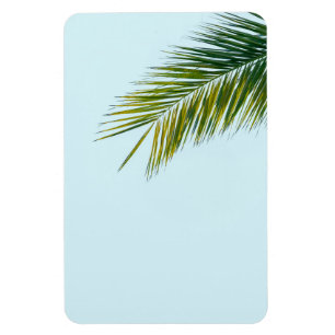 Magnet Flexible Palmier Vert Tropical sur Fond Bleu Clair