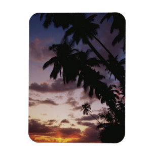 Magnet Flexible Palmiers au bord de la mer