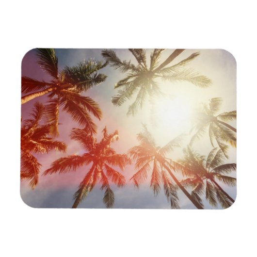Magnet Flexible Palmiers de coco contre le soleil (Horizontal)