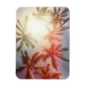 Magnet Flexible Palmiers de coco contre le soleil (Vertical)