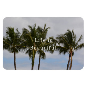 Magnet Flexible Palmiers de Kauai (photo prise par moi)