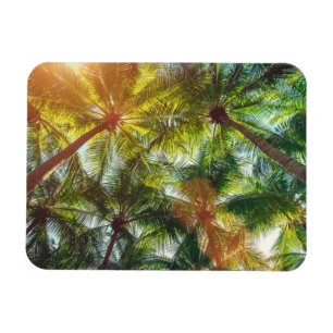 Magnet Flexible Palmiers de noix de coco sur la plage