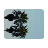 Magnet Flexible Palmiers d'été (Horizontal)