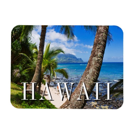 Magnet Flexible Palmiers le long de Hideaways Beach (Horizontal)