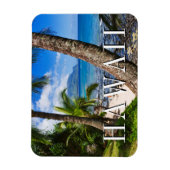 Magnet Flexible Palmiers le long de Hideaways Beach (Vertical)