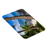 Magnet Flexible Palmiers le long de Hideaways Beach (Côté Droit)