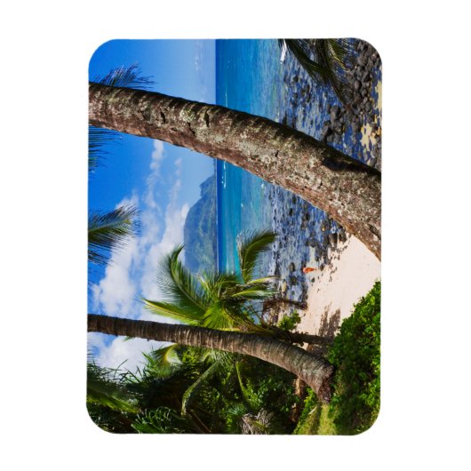 Magnet Flexible Palmiers le long de Hideaways Beach (Vertical)