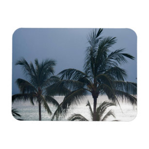 Magnet Flexible Palmiers sur la plage
