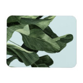 Magnet Flexible Palms Celadon (Horizontal)