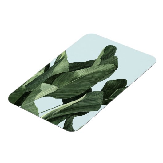 Magnet Flexible Palms Celadon (Côté Gauche)