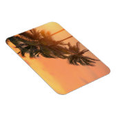 Magnet Flexible Palms de Miami (Côté Droit)