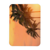 Magnet Flexible Palms de Miami (Vertical)