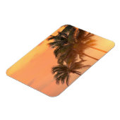 Magnet Flexible Palms de Miami (Côté Gauche)
