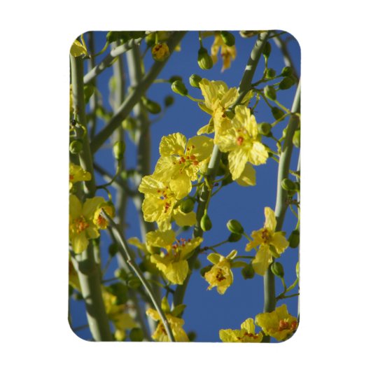 Magnet Flexible Palo Verde (Vertical)