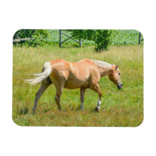 Magnet Flexible Palomino Farm Horse