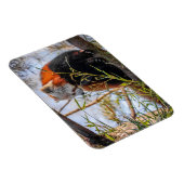 Magnet Flexible Panda rouge (Côté Droit)