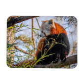 Magnet Flexible Panda rouge (Horizontal)