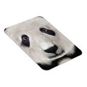 Magnet Flexible Panda roux (Côté Droit)