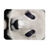 Magnet Flexible Panda roux (Horizontal)