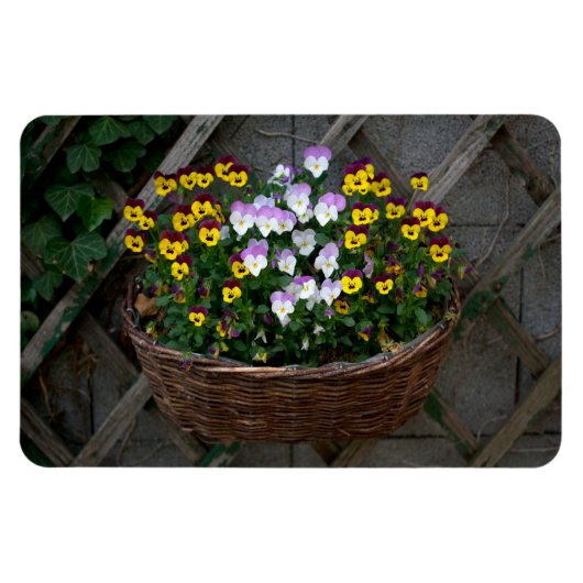 Magnet Flexible Panier avec Violas (Horizontal)