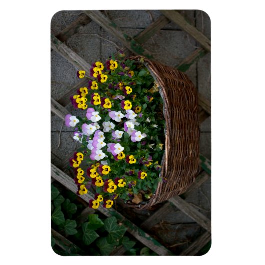Magnet Flexible Panier avec Violas (Vertical)