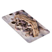 Magnet Flexible Panier de graines de pavot séché (Côté Droit)