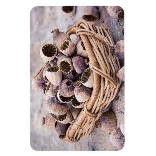 Magnet Flexible Panier de graines de pavot séché (Vertical)