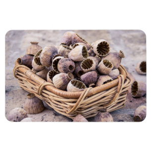 Magnet Flexible Panier des clous de girofle secs de cosse