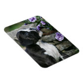 Magnet Flexible Panne de chien de boîte (Côté Droit)