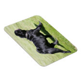 Magnet Flexible Panneaux de Carlin noir en marchant (Côté Droit)