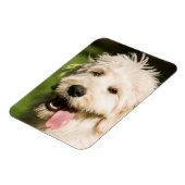 Magnet Flexible Panneaux de chiot Goldendoodle (Côté Gauche)