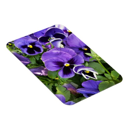 Magnet Flexible panneaux violets (Côté Droit)