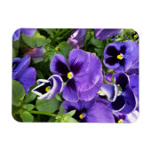 Magnet Flexible panneaux violets (Horizontal)