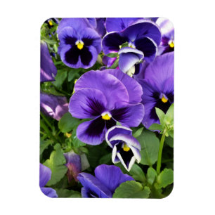 Magnet Flexible panneaux violets