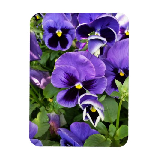 Magnet Flexible panneaux violets (Vertical)