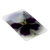 Magnet Flexible Pansement pourpre et blanc (Côté Droit)