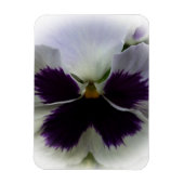 Magnet Flexible Pansement pourpre et blanc (Vertical)