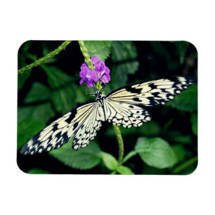 Magnet Flexible Paperkite blanc papillon