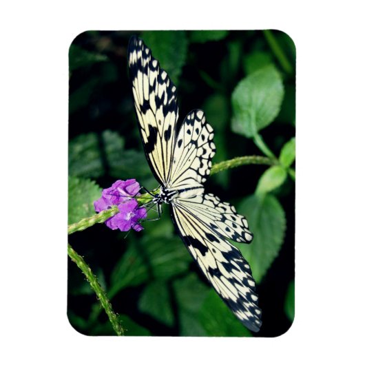 Magnet Flexible Paperkite blanc papillon (Vertical)