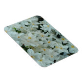 Magnet Flexible Paperwhite Narcissus Fleurs blanches délicates (Côté Droit)