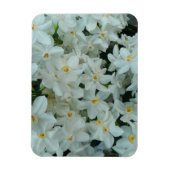 Magnet Flexible Paperwhite Narcissus Fleurs blanches délicates (Vertical)