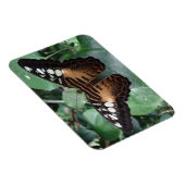 Magnet Flexible Papillon (Côté Droit)