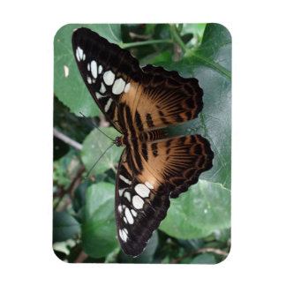 Magnet Flexible Papillon
