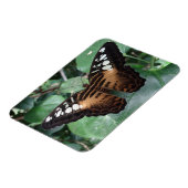 Magnet Flexible Papillon (Côté Gauche)