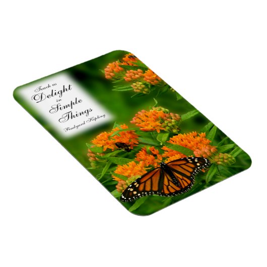 Magnet Flexible Papillon (Côté Droit)