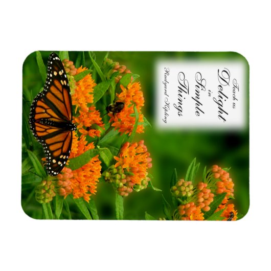 Magnet Flexible Papillon (Horizontal)