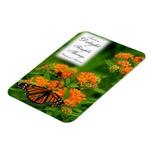 Magnet Flexible Papillon (Côté Gauche)